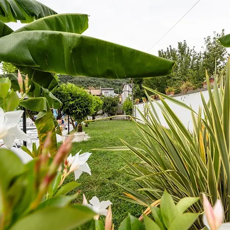 La Valle Del Ciliegio * Bracigliano